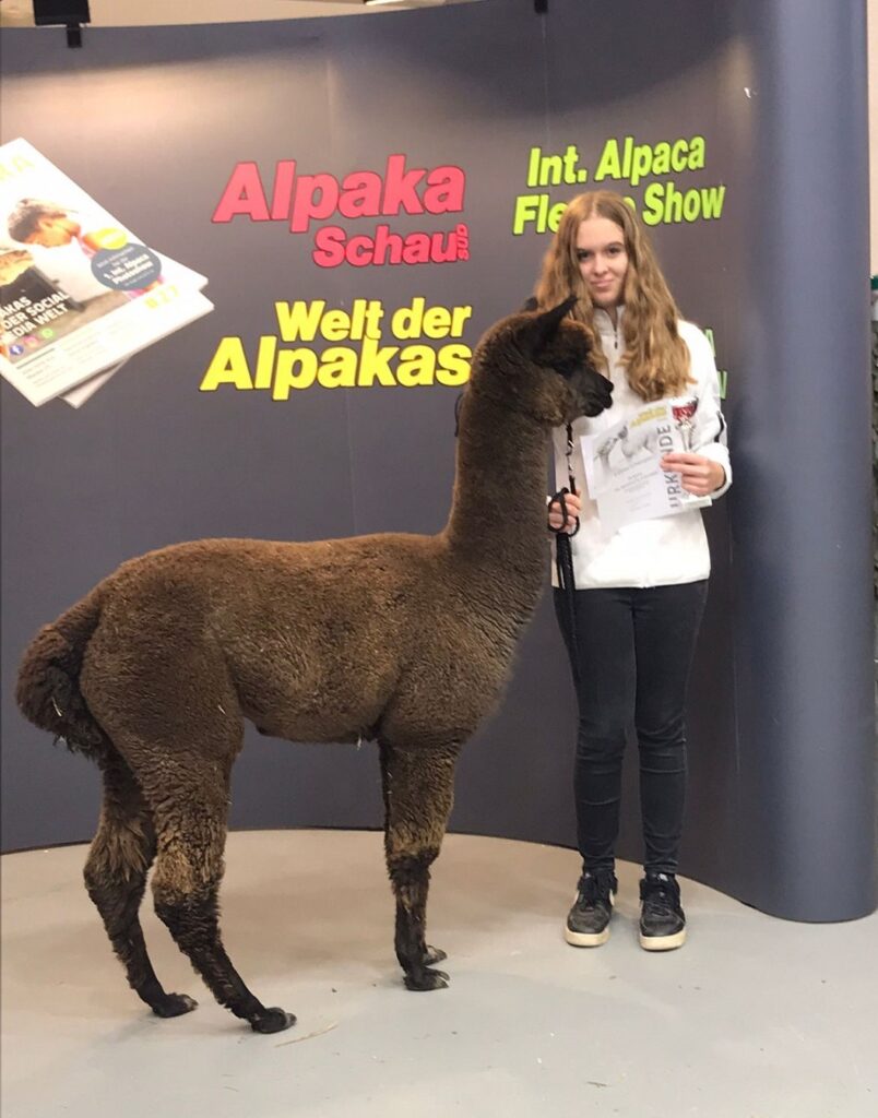 Reserve Colourchampion grau