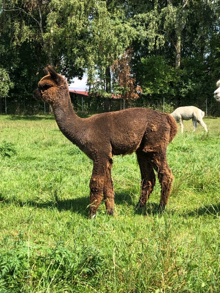 Nacho September 2022