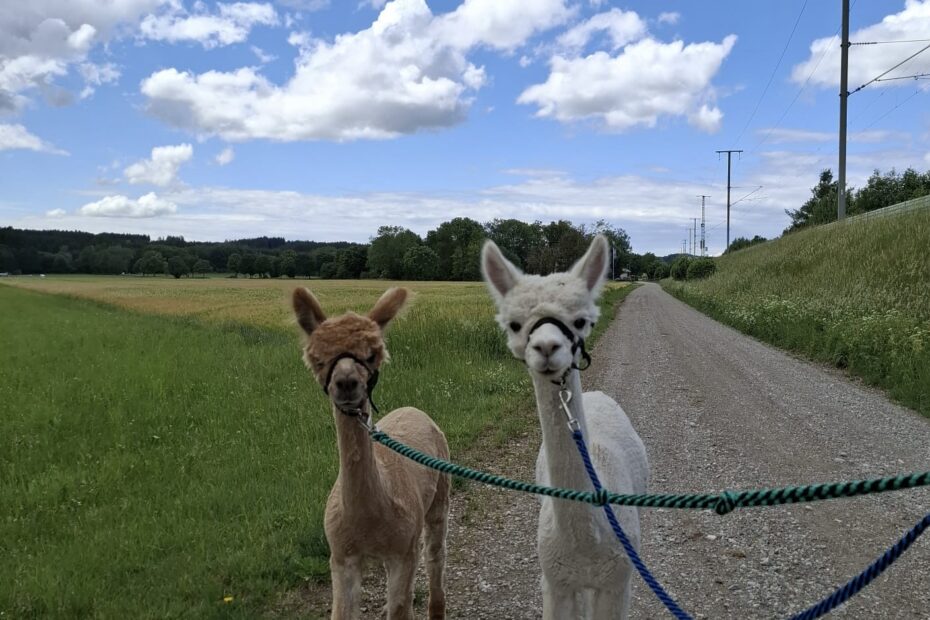 Sommerwanderung
